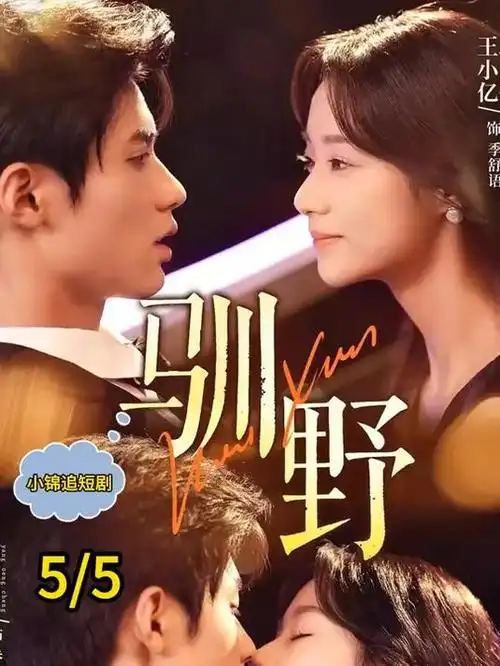 第四季度档期观察配图，温室花房与排期看板